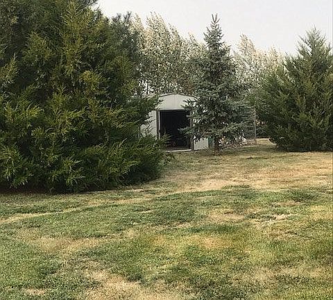 Shed & Kennel