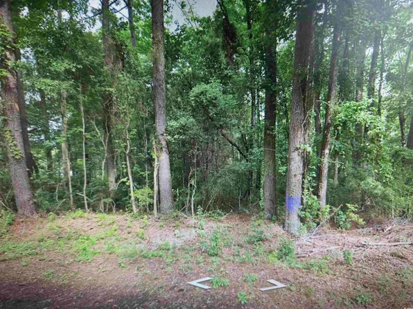 tbd Golfview Circle, Johnsonville, SC 29555