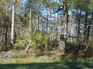 391 Holmestown Loop Rd, Midway, GA 31320