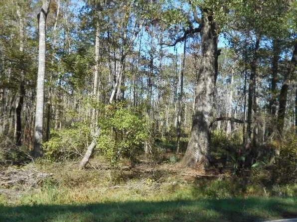 391 Holmestown Loop Rd, Midway, GA 31320