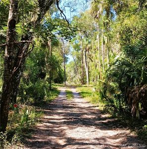 9302 W Tall Pines Ct, Crystal River, FL, 34428