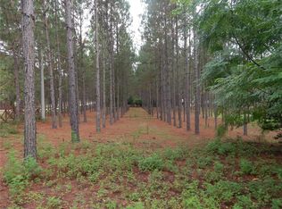 Angels Landing Ct, Clermont, FL 34715