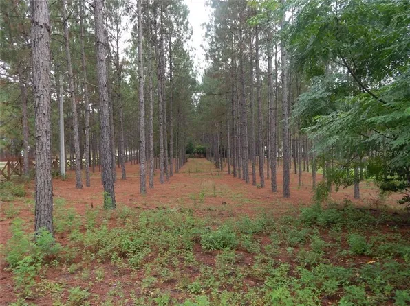 Angels Landing Ct, Clermont, FL 34715