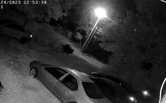 3rd image of 629 Featherston St