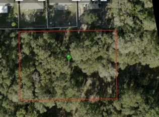 IVY AVENUE LOT 1, DELAND, FL 32724