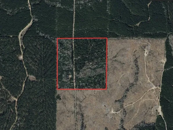 Tbd Hwy #126-W, Grayson, LA 71435