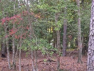 2nd image of 65 Fairway Dr