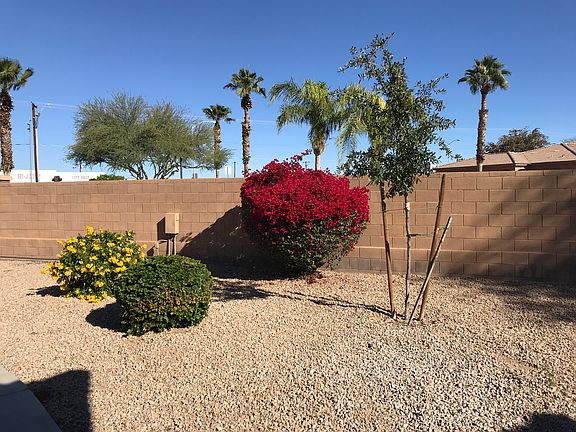 Landscaped Front Yard