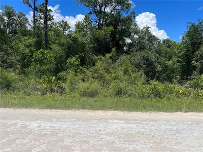 Easter Dr LOT 3, Webster, FL, 33597
