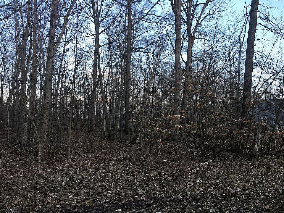 2nd image of Willow St