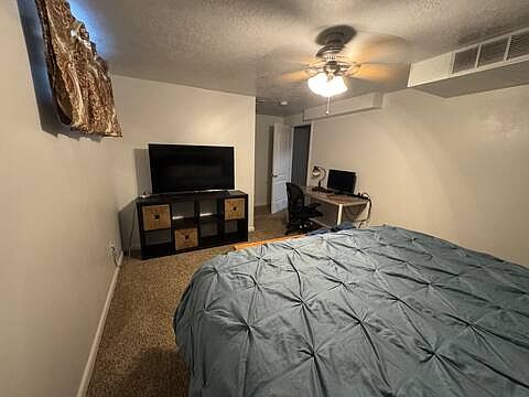 Downstairs Bedroom