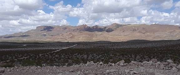 3rd image of 4488 Bad Bunny Rd