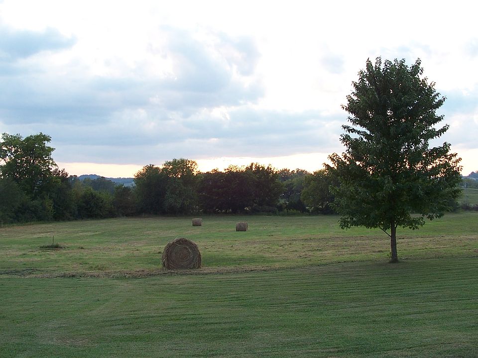 View of cleared acreage