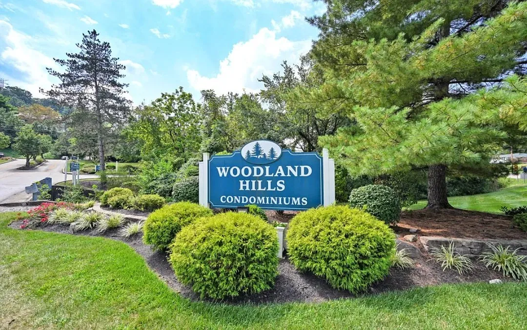 2 bed, 960 sqft, $1,500 — Photo 2