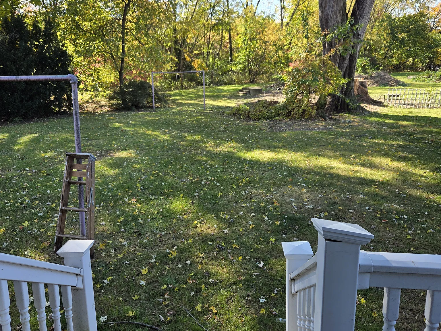 1 bed, 800 sqft, $1,300 — Photo 2