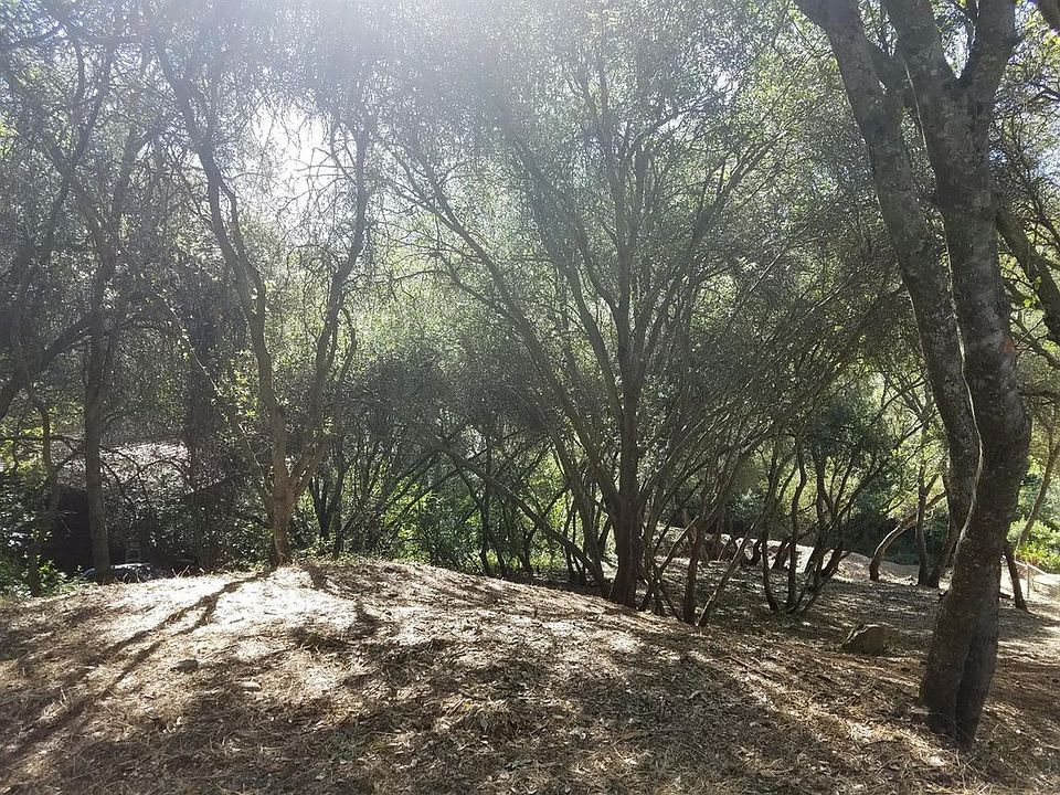 1st image of 2816 Holly Hills Ln