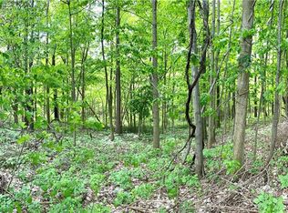 2705 Gayer Rd, Valley City, OH 44280