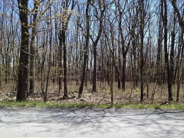 Catskill Dr, Effort, PA 18330