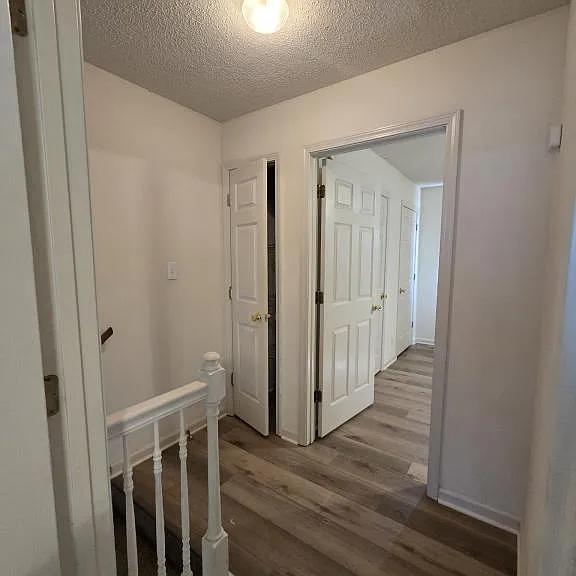 241 Tree Line Dr — Photo 18