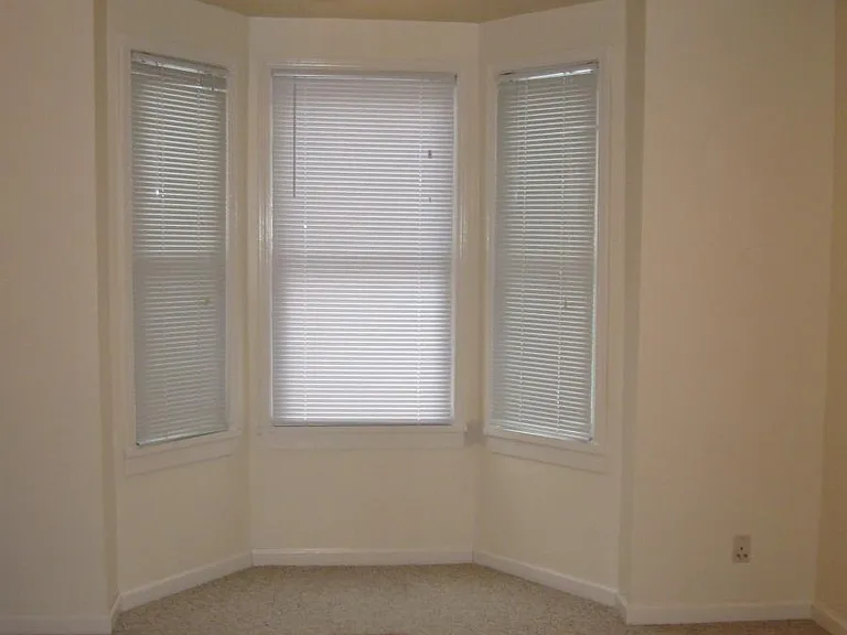 522 Lloyd St — Photo 5