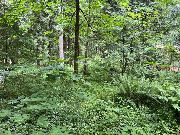 E Arthur Hailey Rd, Rhododendron, OR 97049