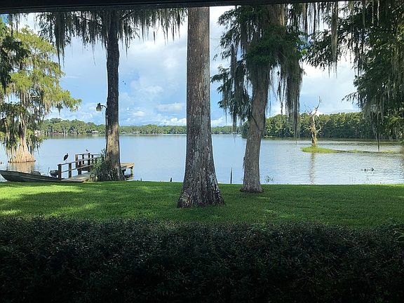 View from family room!