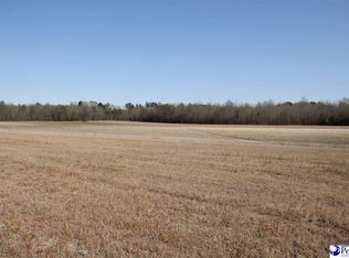 2040 E Old Camden Rd, Hartsville, SC 29550