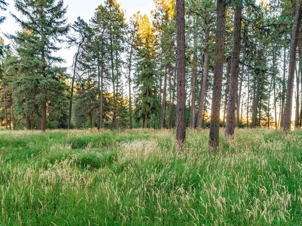 Driscoll Ridge Rd, Troy, ID 83871