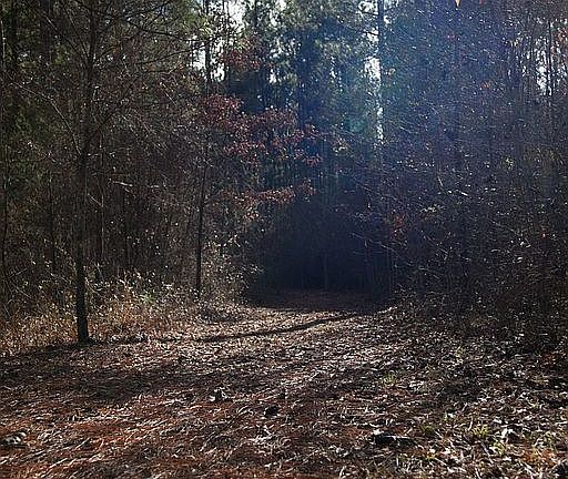 Path