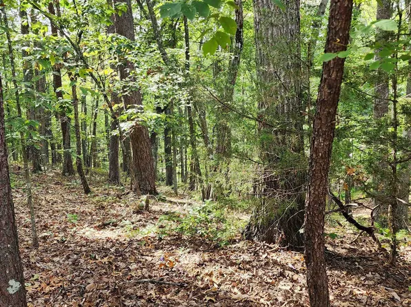 251 Pleasant Ln, Mc Gaheysville, VA 22840