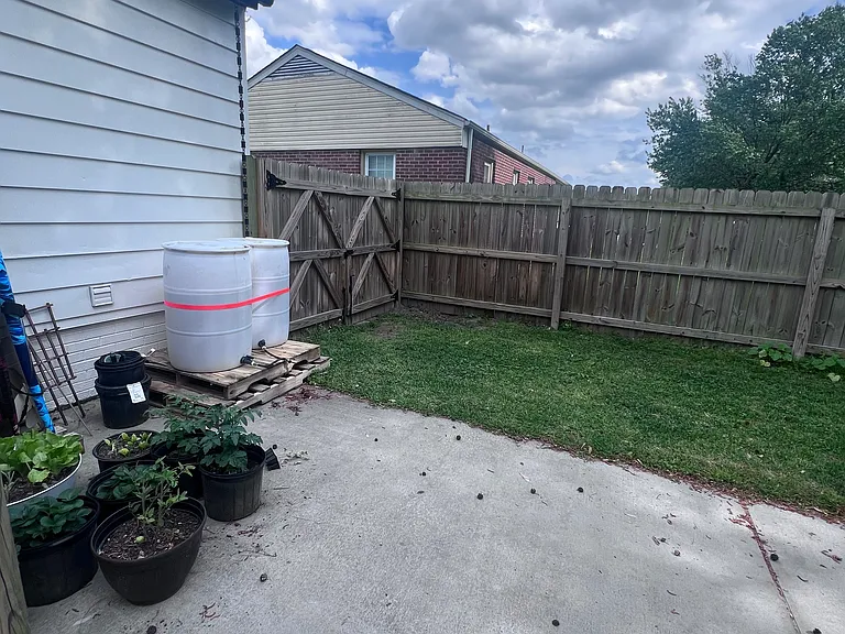 Shared outdoor area. Like to garden? We used reclaimed water from our barrels.