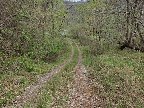 4th image of Crooked Fork Rd