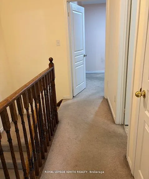 11 Curran Hall Cres — Photo 18