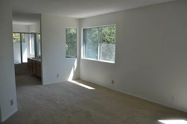 2174 Shadetree Ln — Photo 8