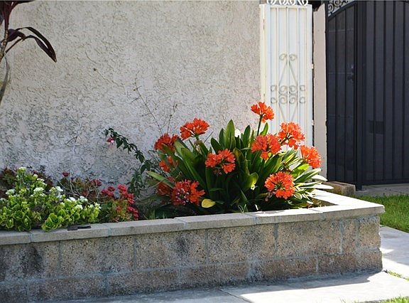 This home features gorgeous planters, flowers and ample grassy areas