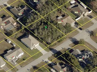 11105 Norvell Rd, Spring Hill, FL 34608