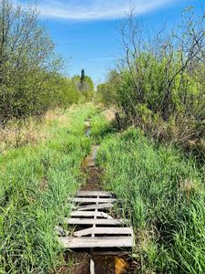 Zink Rd, Rib Lake, WI, 54470
