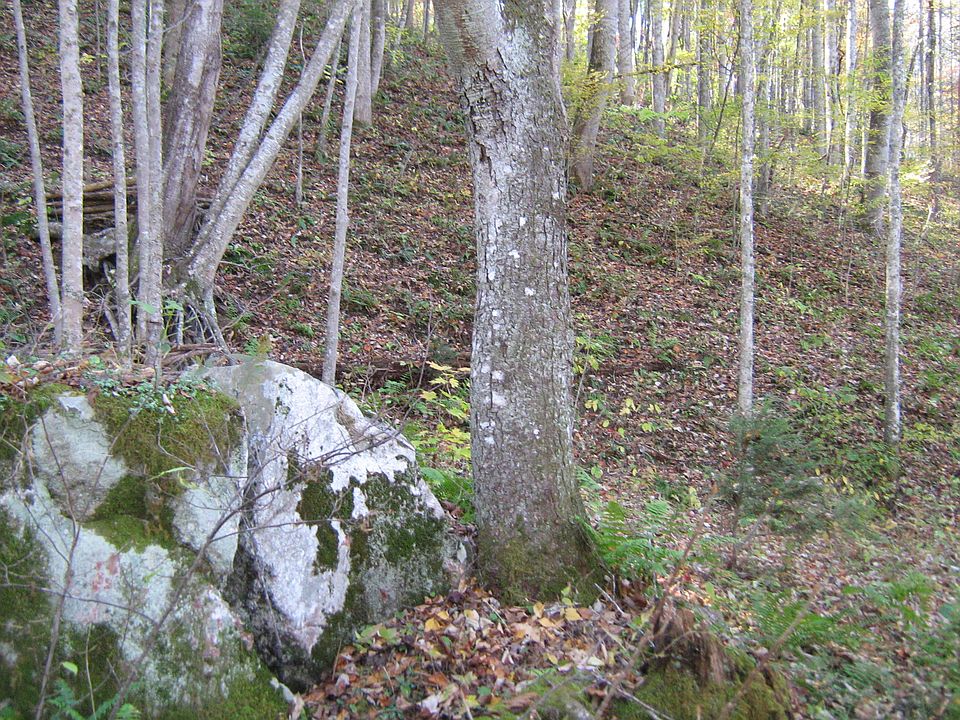 1st image of 000 Nc Hwy 209