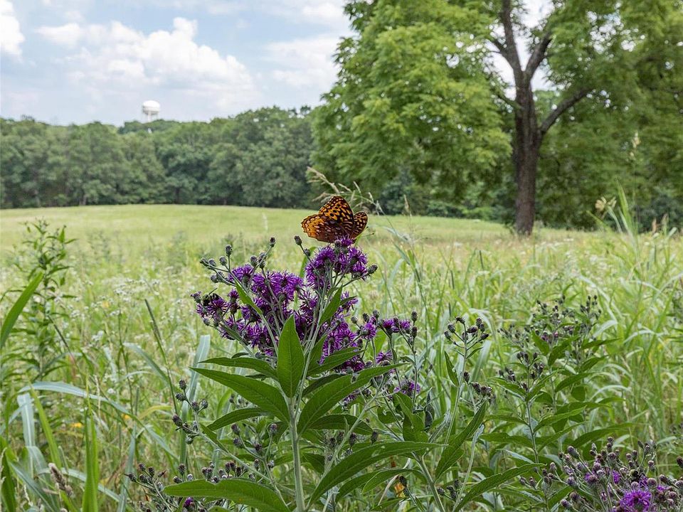 LOT Two Hillsboro MO Zillow