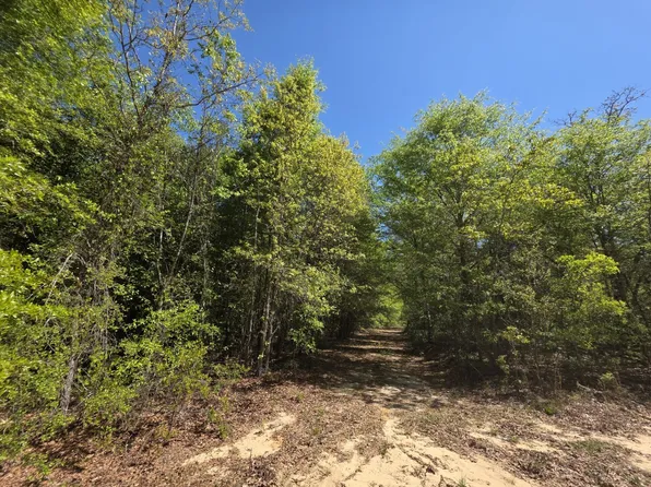 8A Briarwood Dr, Williston, SC 29853