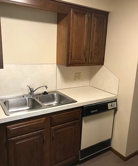 Kitchen Dishwasher