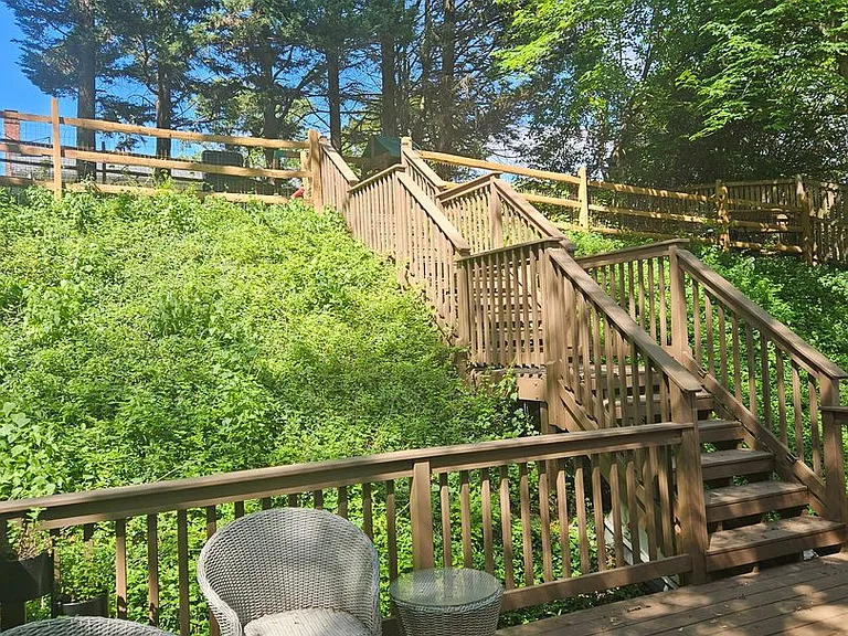 221 Dale Dr — Photo 29