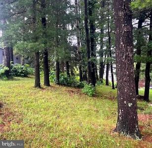 LOT 55 5th Ave, Burnham, PA, 17009