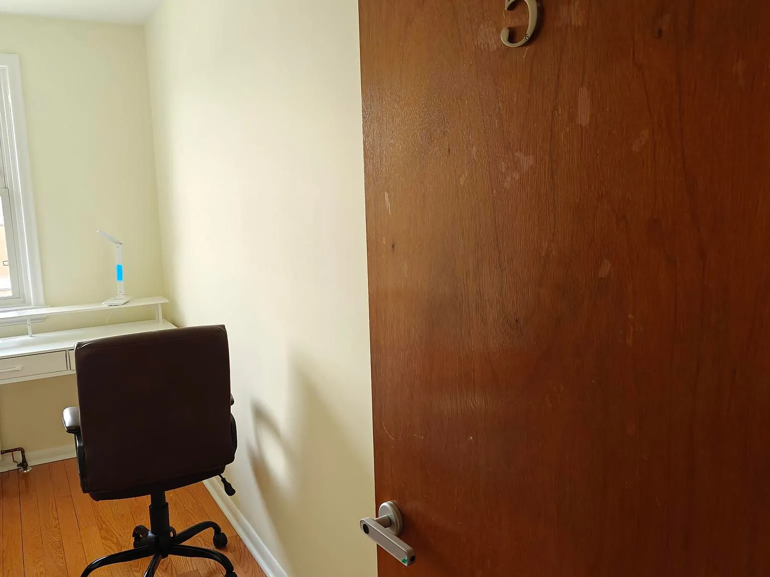 1 bed, $750 — Photo 3