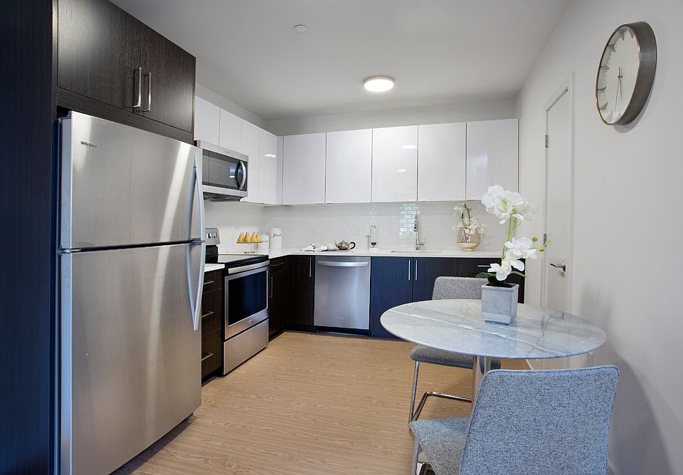 Euro-style Kitchens feature Quartz Countertops and Stainless Steel Appliances