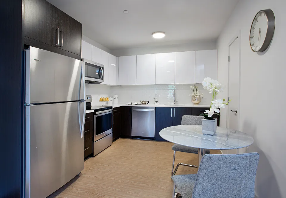 Euro-style Kitchens feature Quartz Countertops and Stainless Steel Appliances