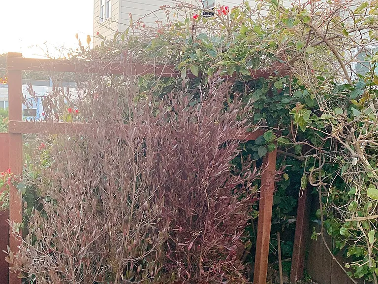 47th Ave — Photo 4