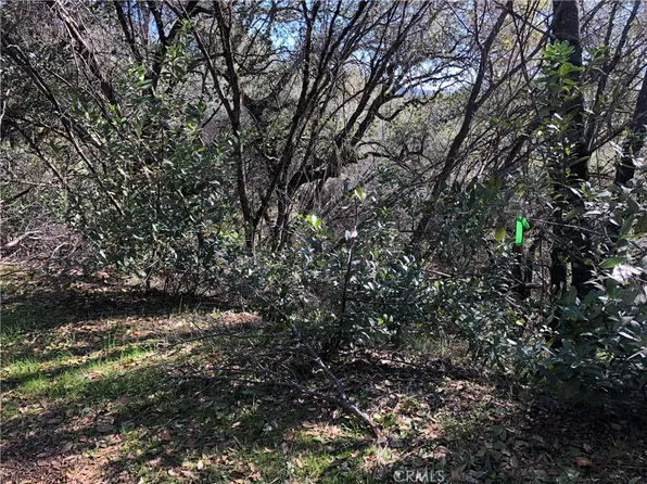 7289 Tehama St #33, Nice, CA 95464