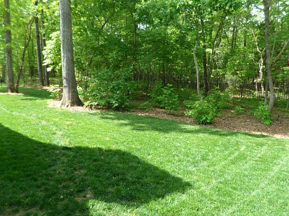 Great backyard for entertaining, also is fenced