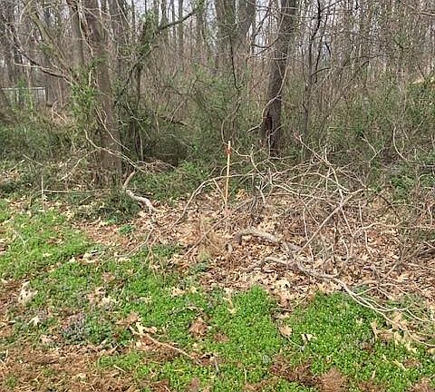 5th image of 0 Robert Fulton Hwy Lot 1
